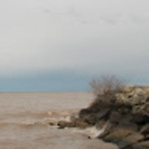 Meet your Posher, Ellen